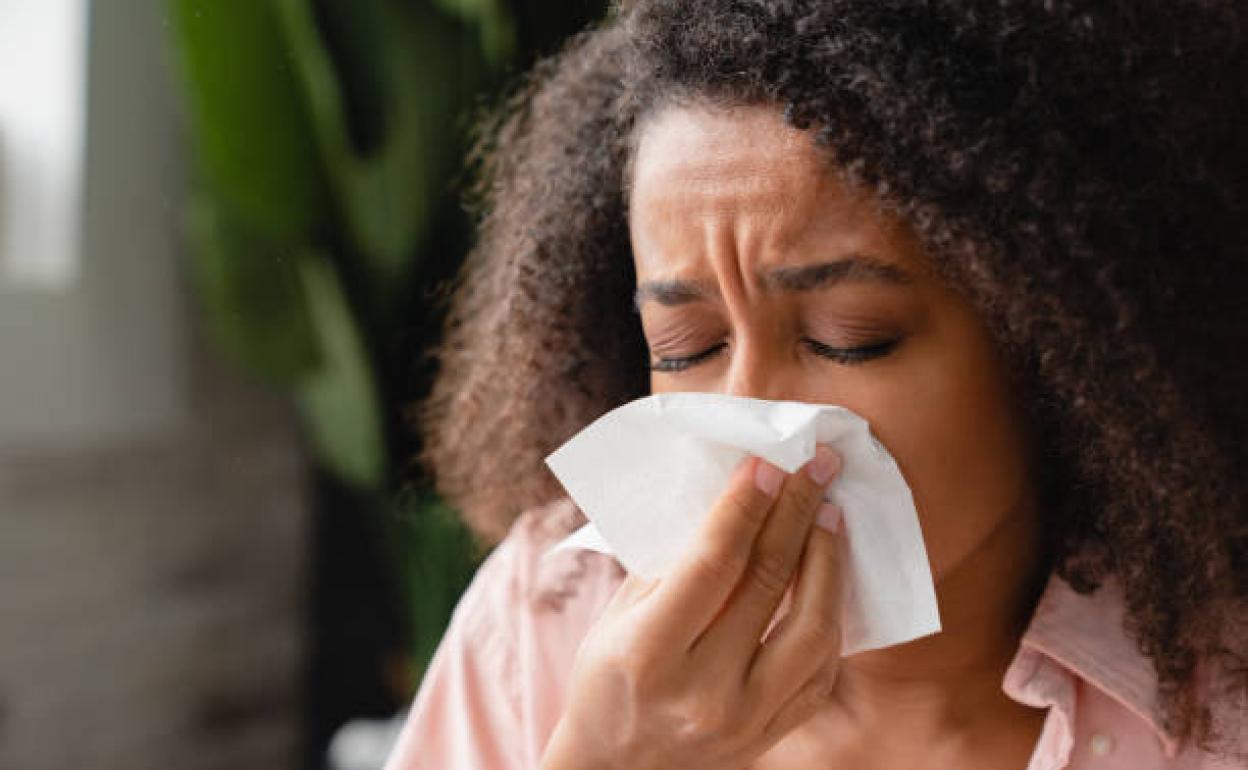 Resfriado O Alergia Esta Es La Clave Para Distinguirlos El Norte De